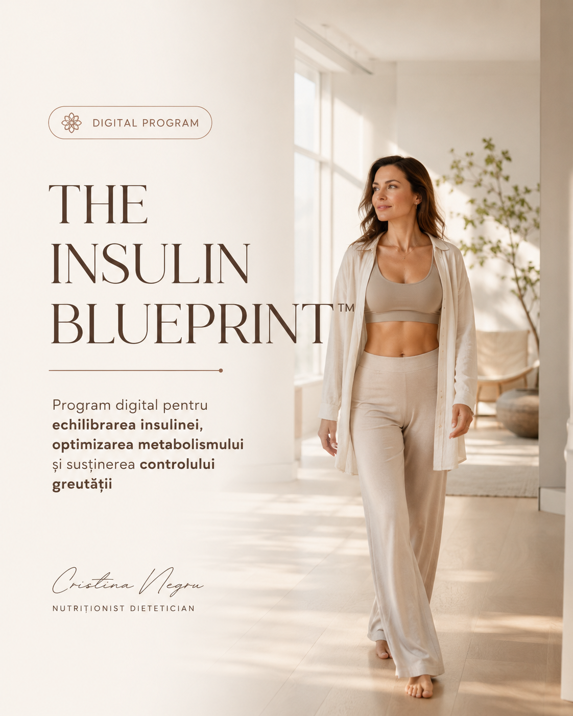 THE INSULIN BLUEPRINT™